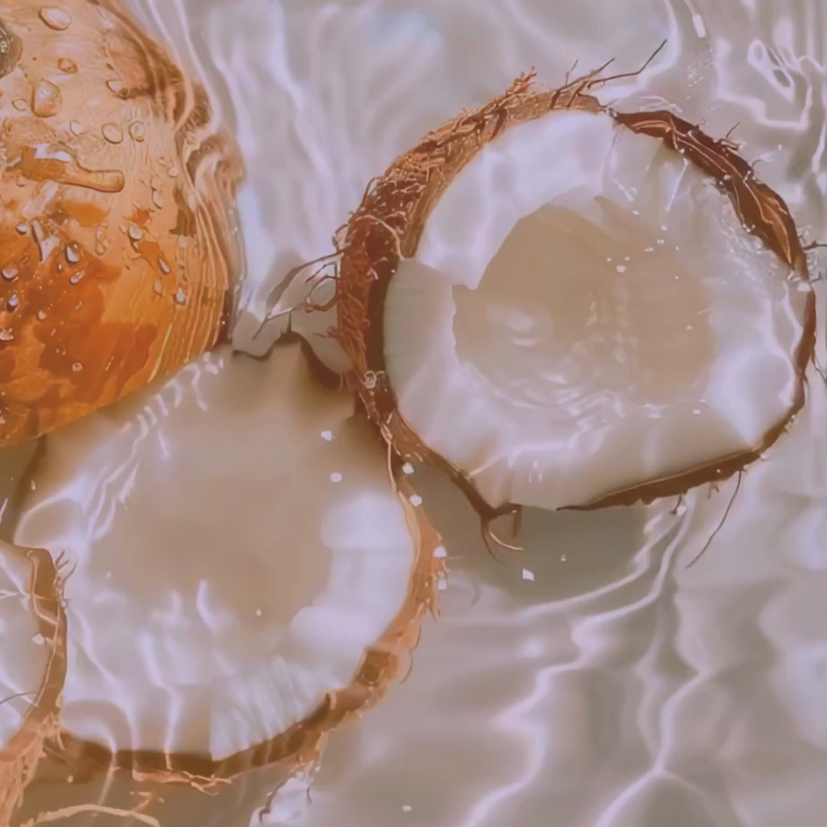 Organic Coconut Milk Body Lotion – Ultra-Hydrating